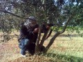 900123ghavbn22321