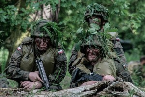 pl02302397arm9239328